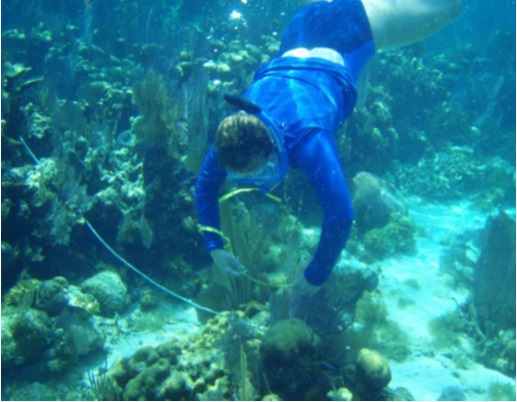 杰西卡水肺潜水在伯利兹