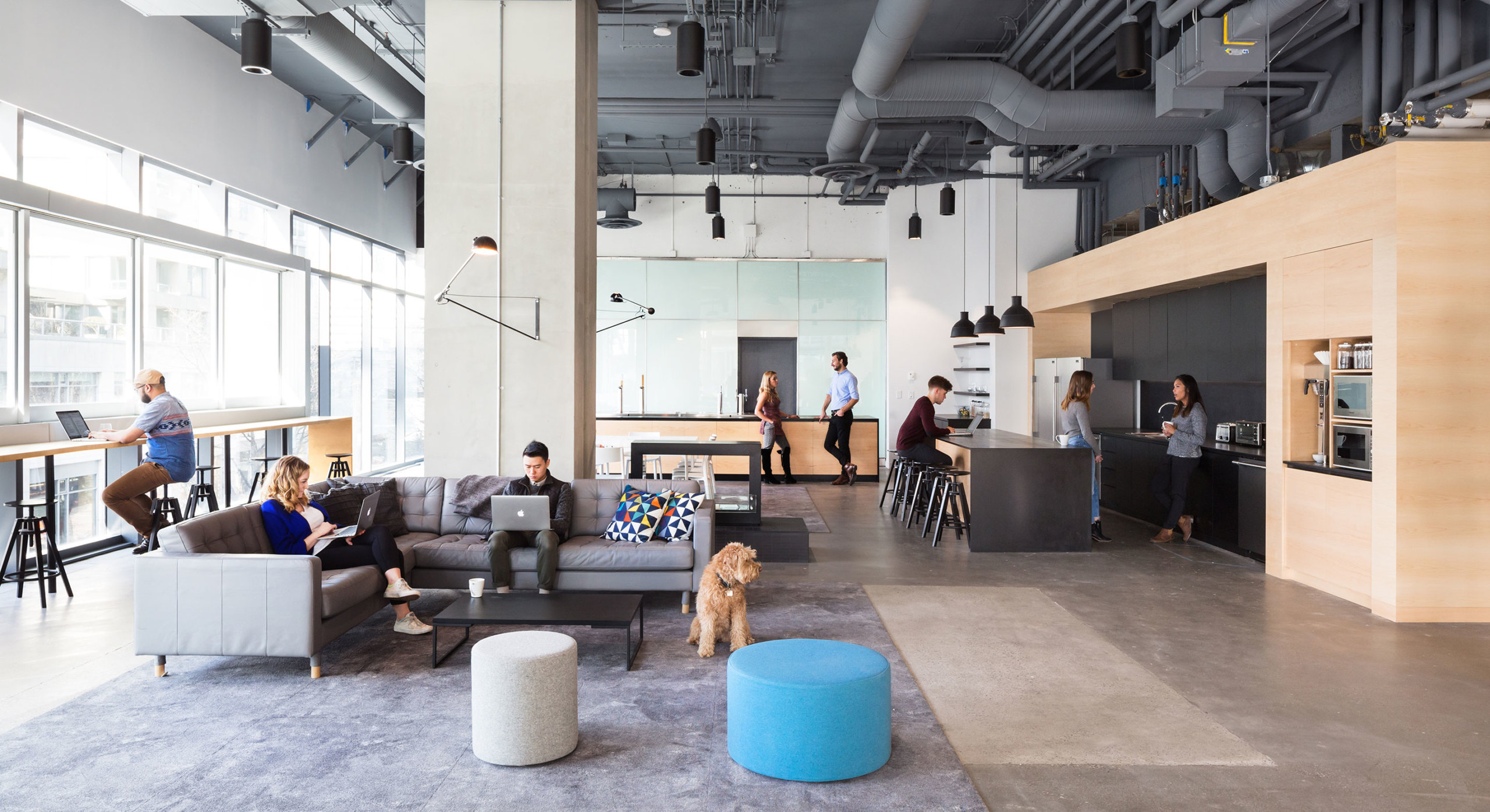 Bench's hard working social space provides for gathering space for social functions, work space during the day and can be configured for all office meetings.