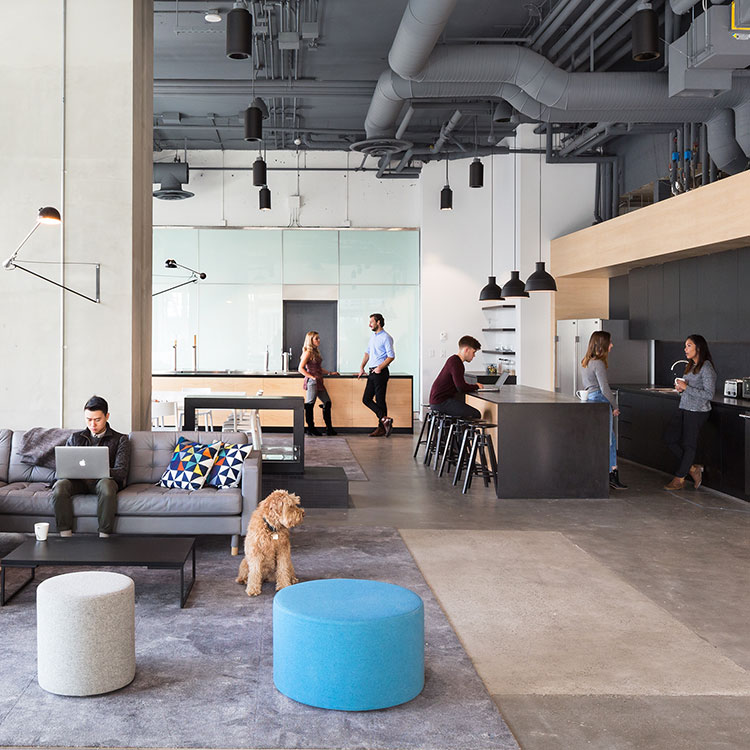 Bench's hard working social space provides for gathering space for social functions, work space during the day and can be configured for all office meetings.