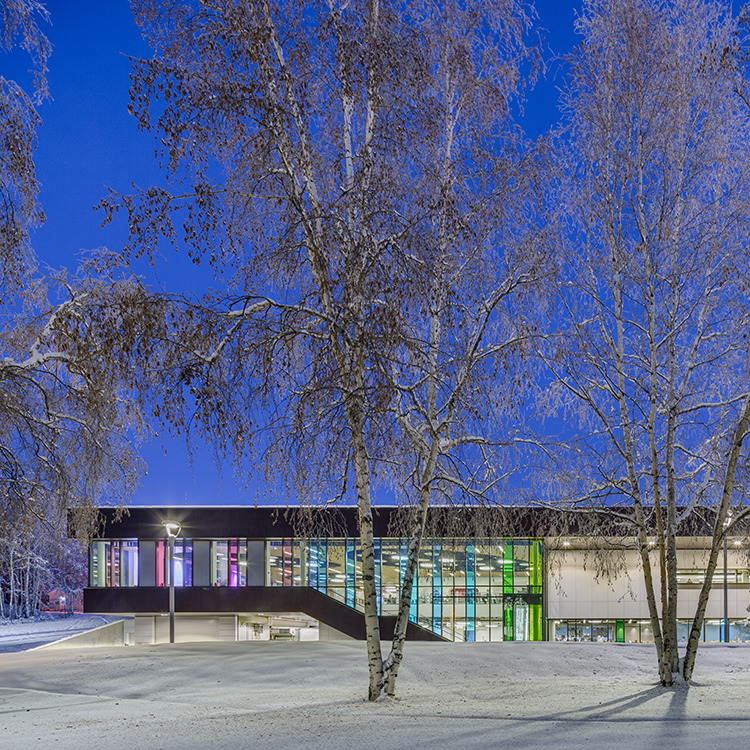 阿拉斯加大学费尔班克斯木材中心在黄昏与雪在地上和树木