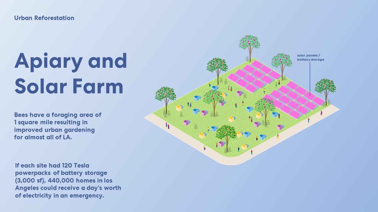 Apiary and Solar Farm