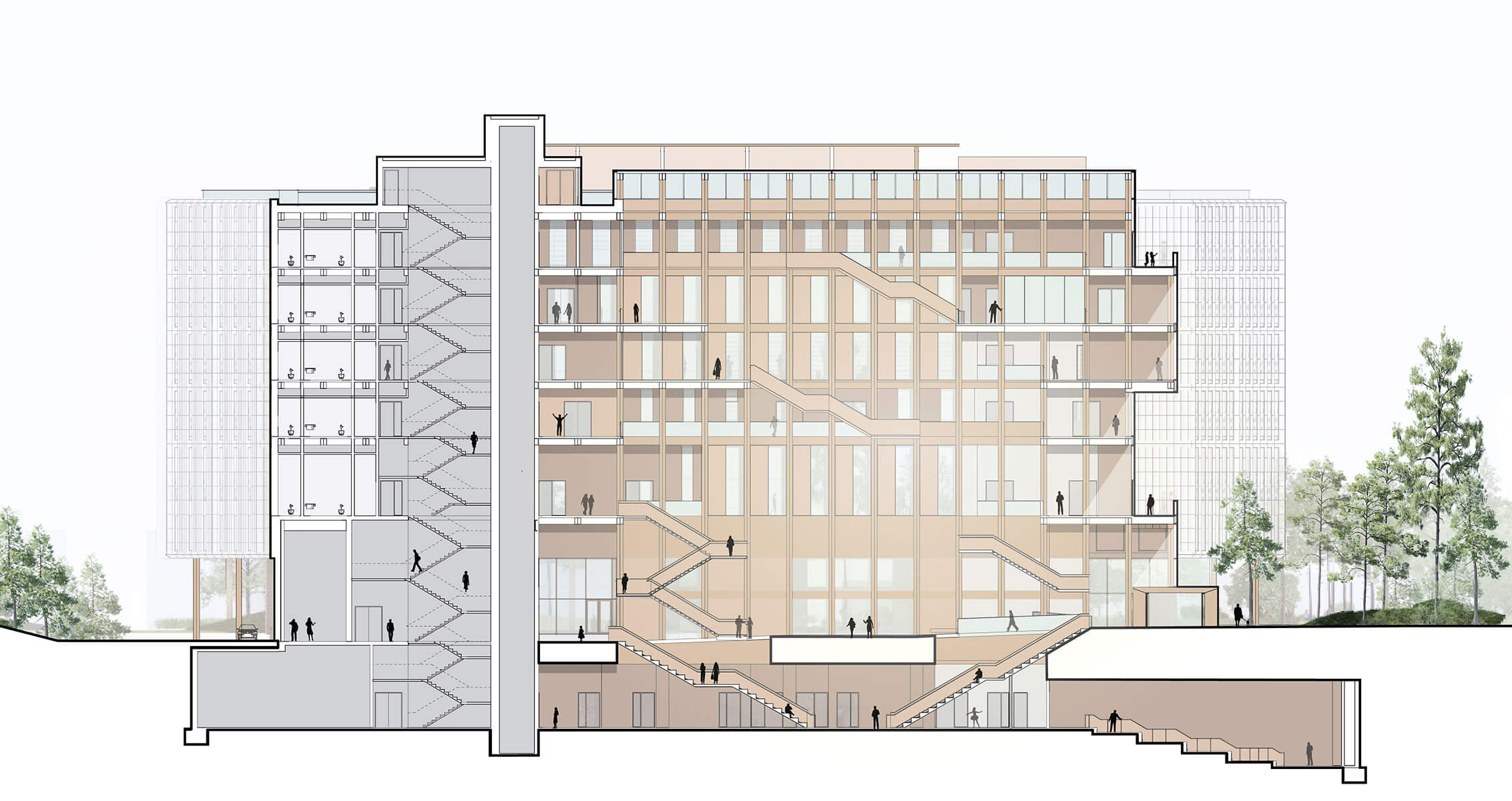 Rendered section of the Gateway building showing the wood clad atrium.