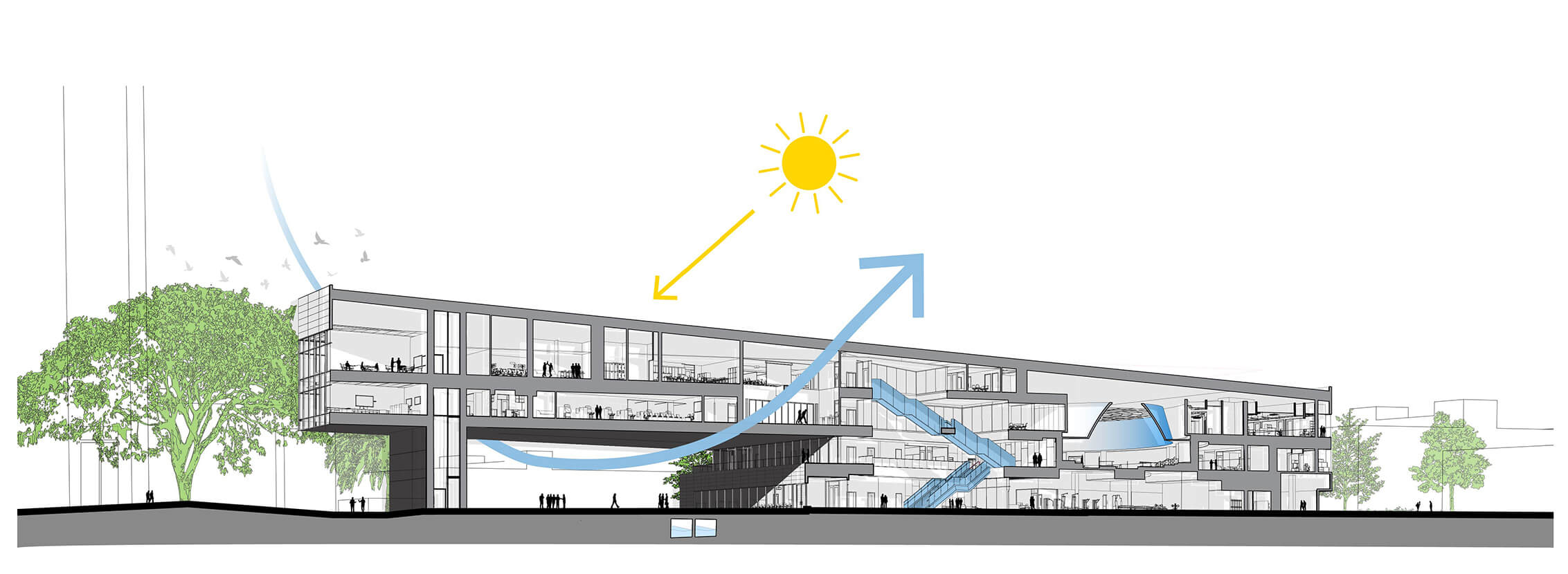 Building cross-section with natural ventilation and sunlight flow.