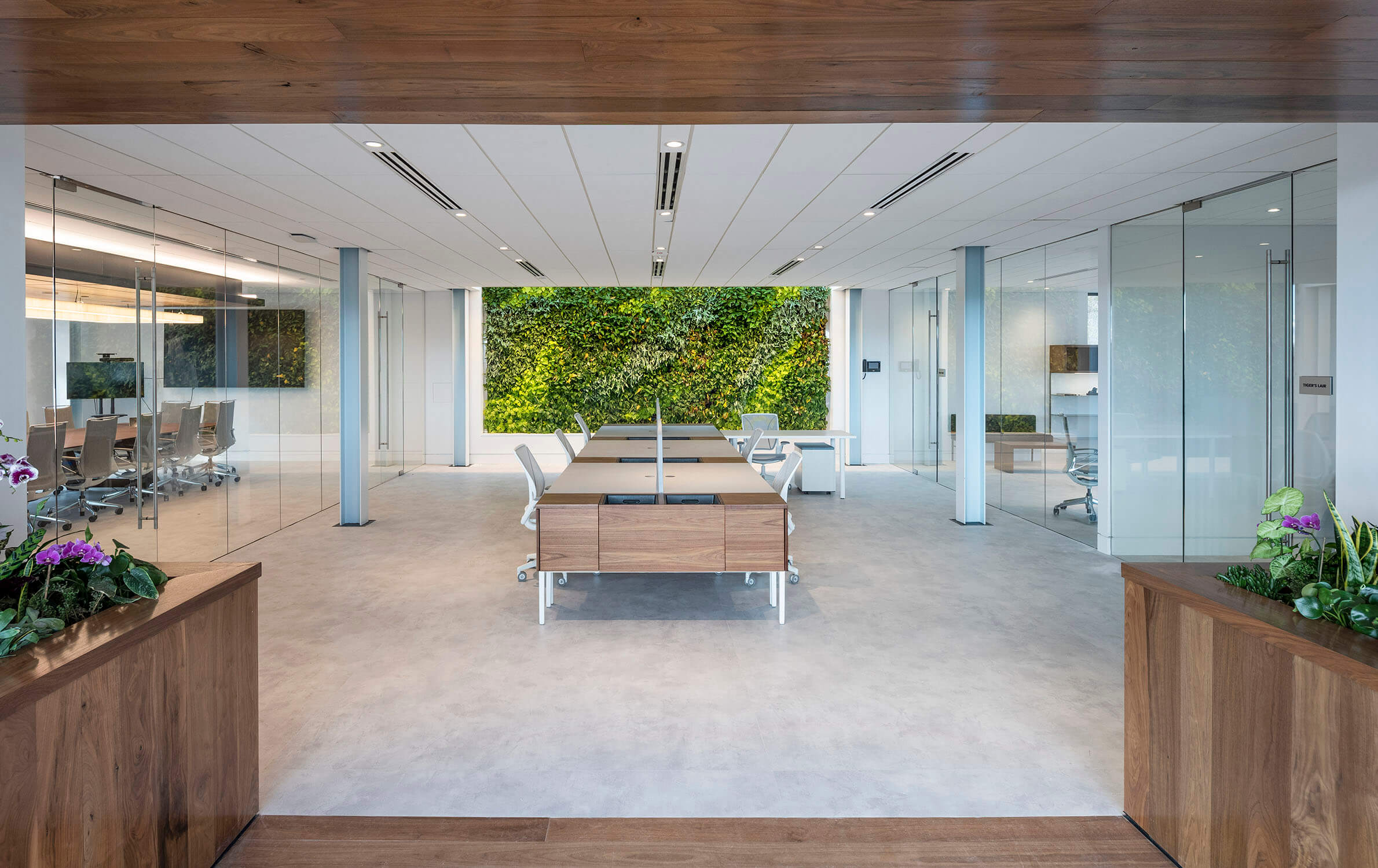 Photo of living wall in sustainable corporate headquarters