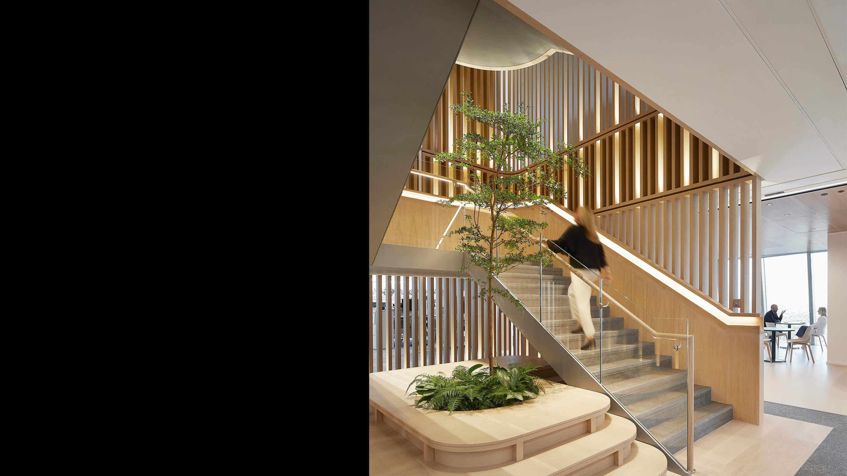 This staircase connects three client-facing floors, including the auditorium and board room. Paneled with oak millwork and spiraling up around a tree, it signals the project’s connection to nature.