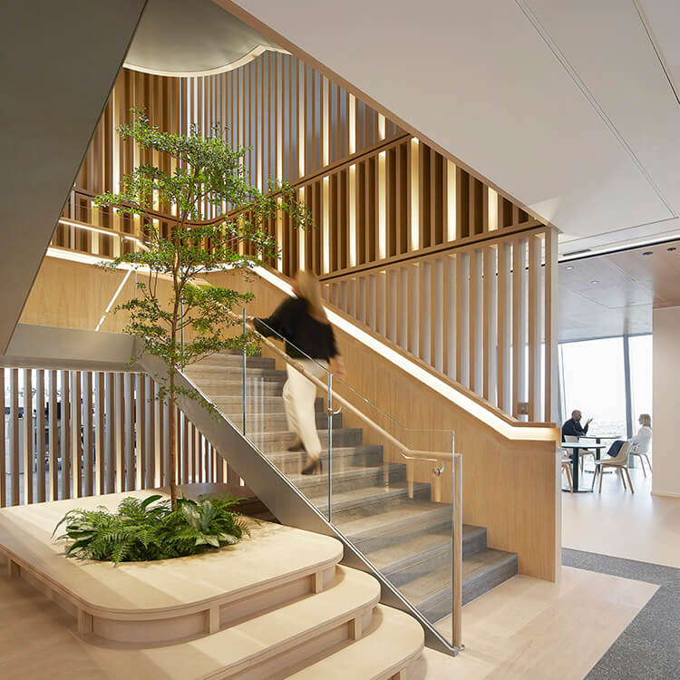This staircase connects three client-facing floors, including the auditorium and board room. Paneled with oak millwork and spiraling up around a tree, it signals the project’s connection to nature.
