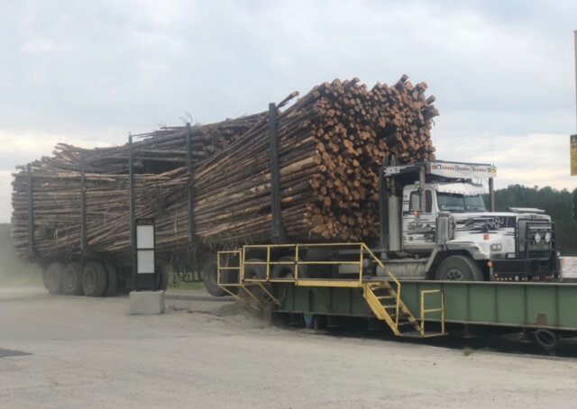 Truck filled with hundreds of trees at Nordic Structures