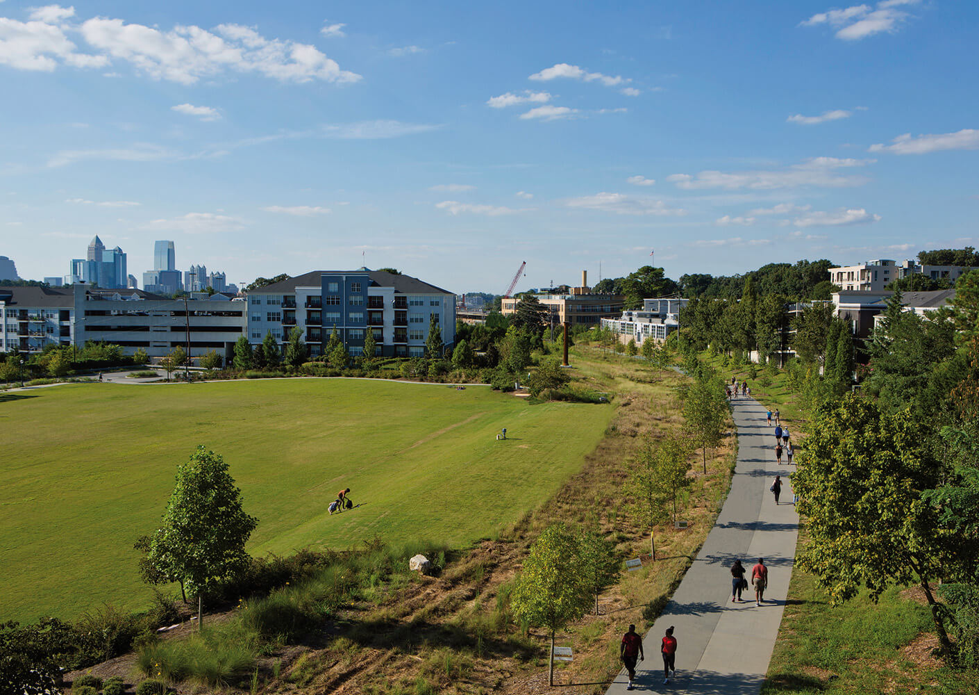 a wide grass field with a skyline in the background