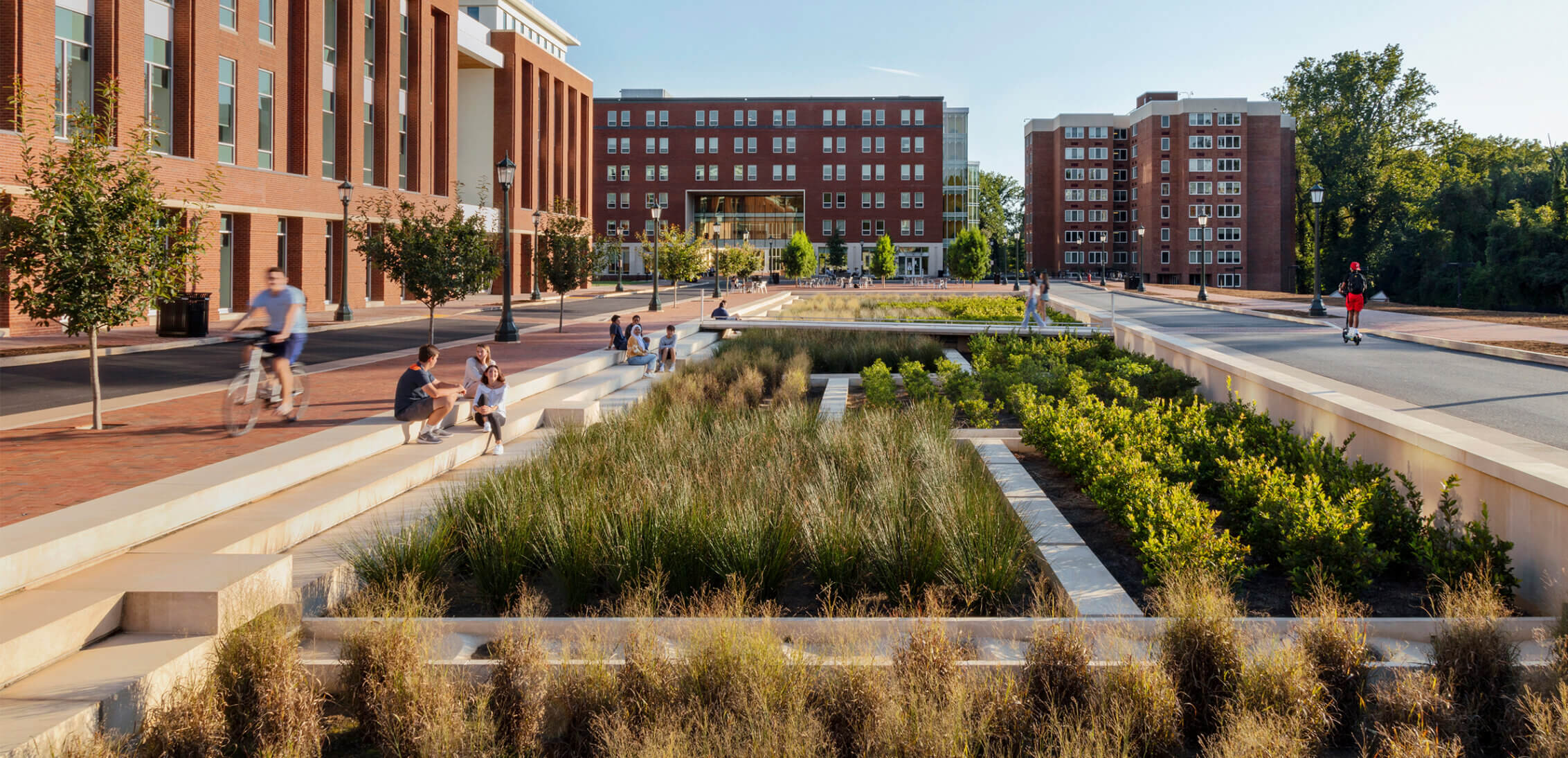 Detail shot of the landscape at University of Virginia with people sitting around.