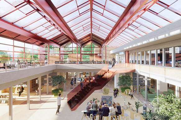 a library orangery with skylights