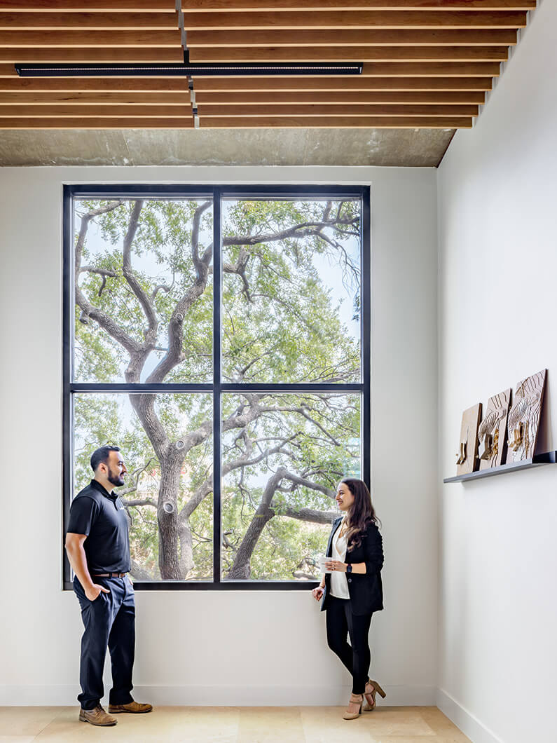 Two designers stand by a tall window with a view of a lush tree