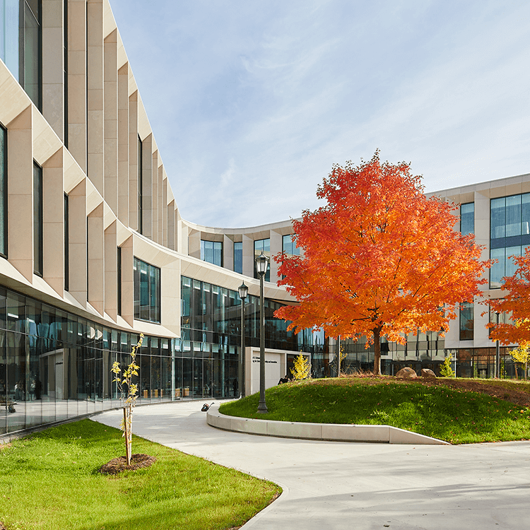 View of Ronald D. Schmeichel Building for Entrepreneurship and Innovation's main entrance with fall foliage.