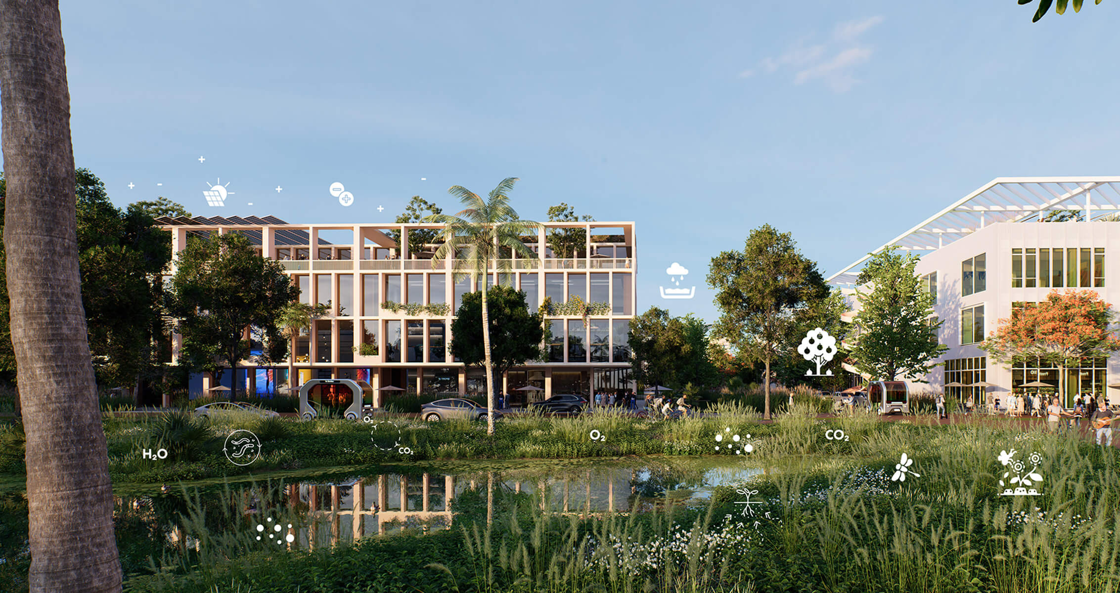 an exterior render of a campus in a tropical setting.