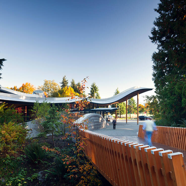 Curved building with wooden bridge in lush forest setting.