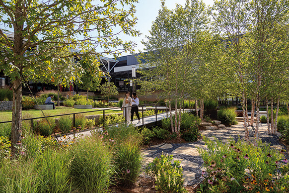 People walking on a landscaped path amid lush greenery and flowering plants in a garden setting.