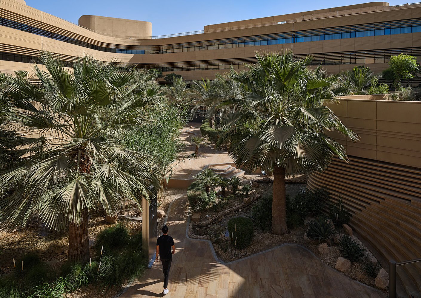 Modern building with lush courtyard and palm trees, showcasing architectural harmony.