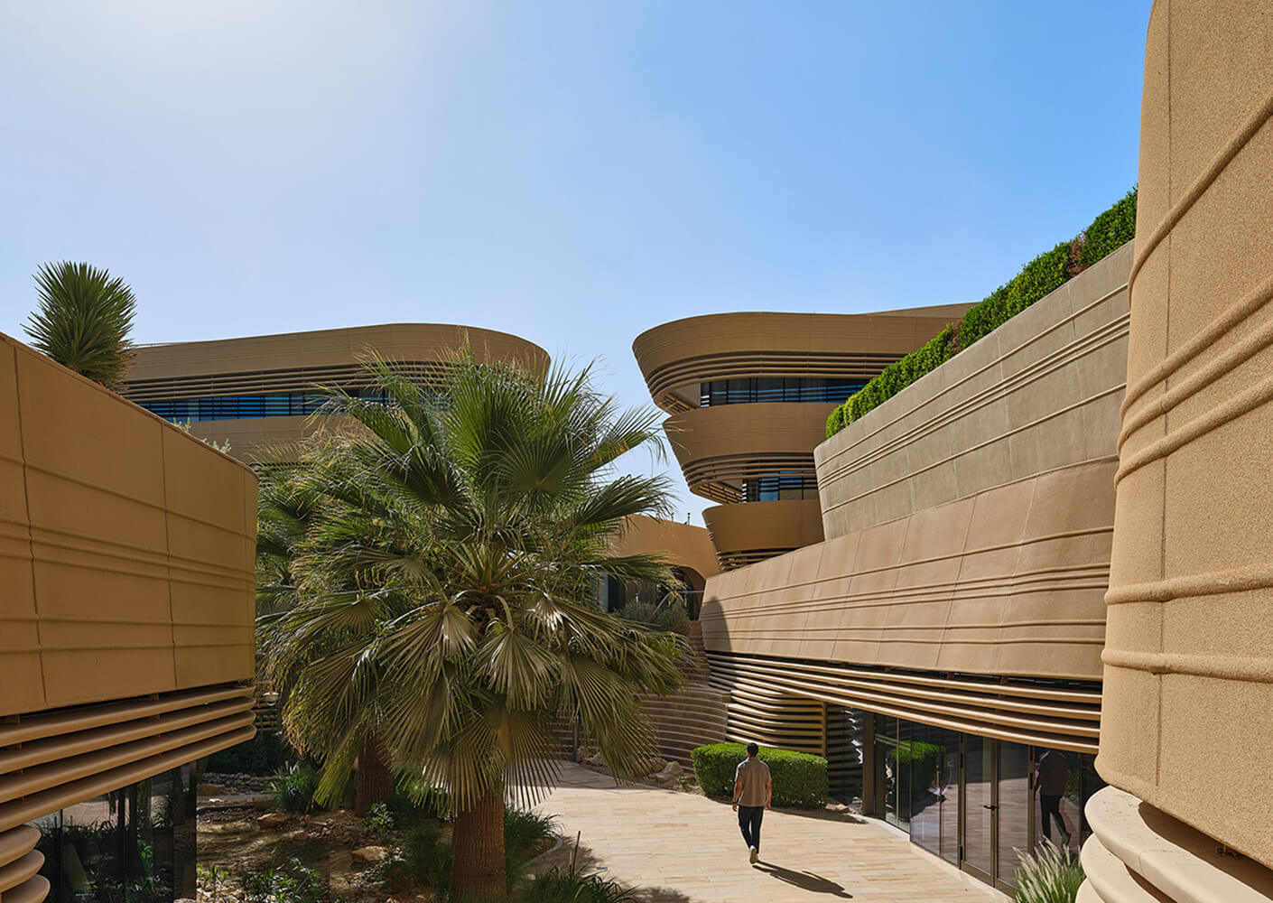 Modern architecture with palm trees and pathways under a clear blue sky.