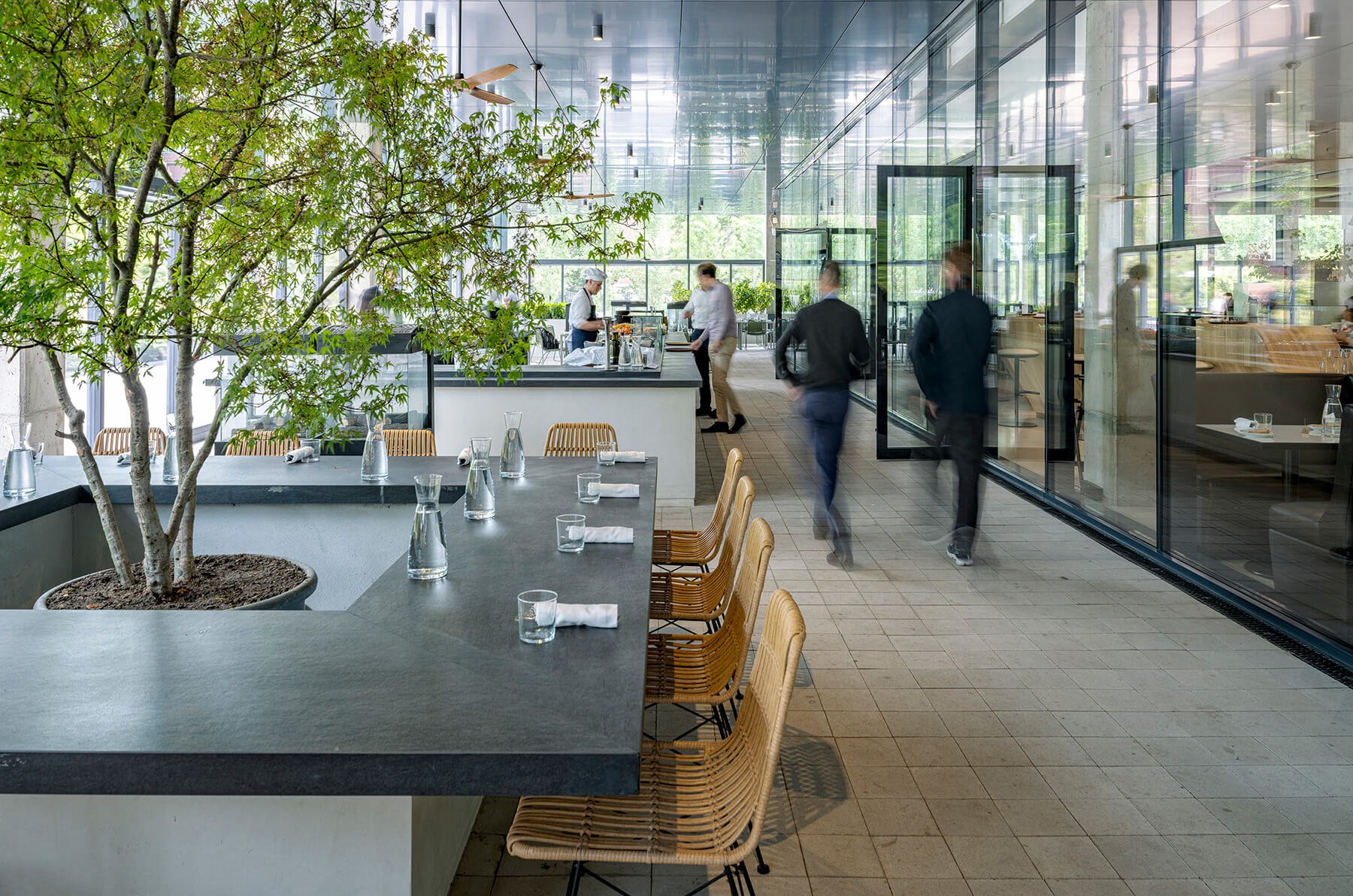 Modern workplace cafe interior with open space and a tree.