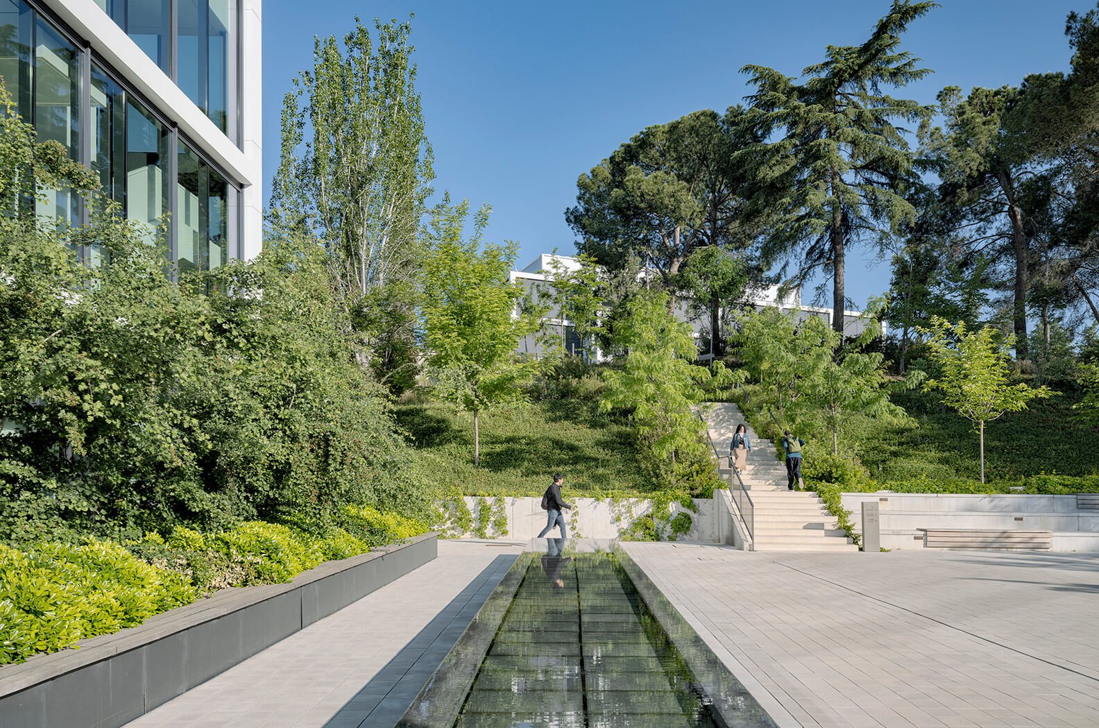 Modern building and lush greenery with a reflective water feature under a clear blue sky.