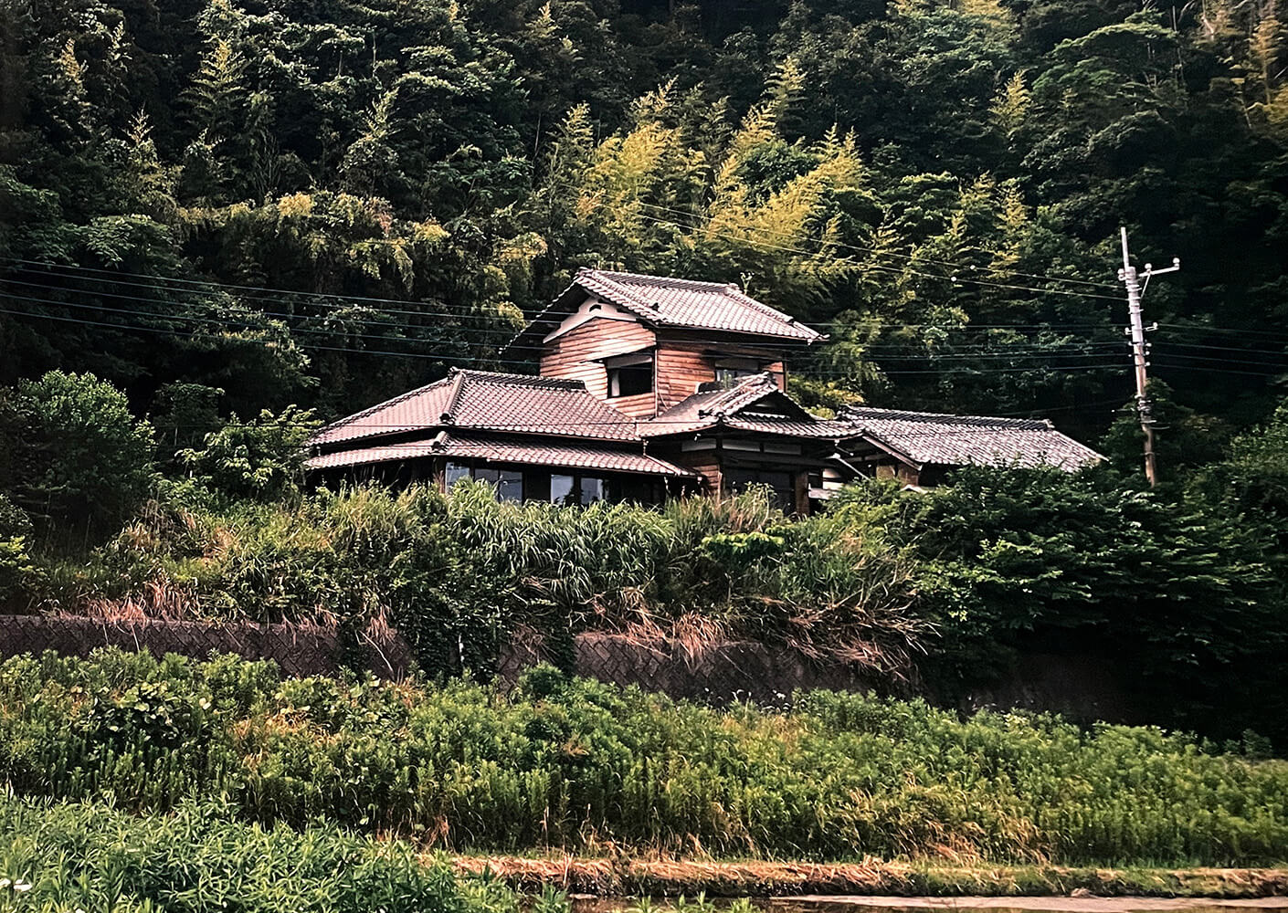 Traditional Japanese house surrounded by lush greenery and forest.
