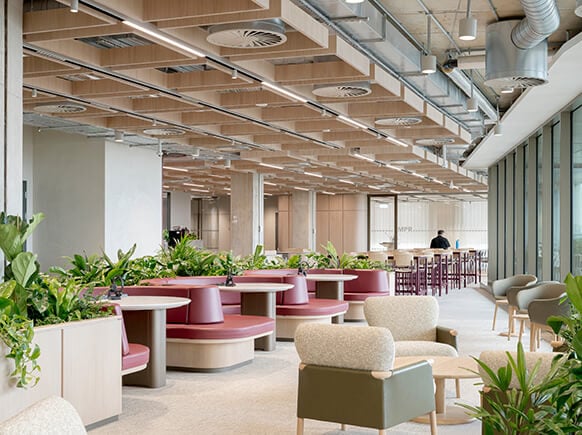 Modern open-plan office with plants and seating, featuring natural light and wooden accents.