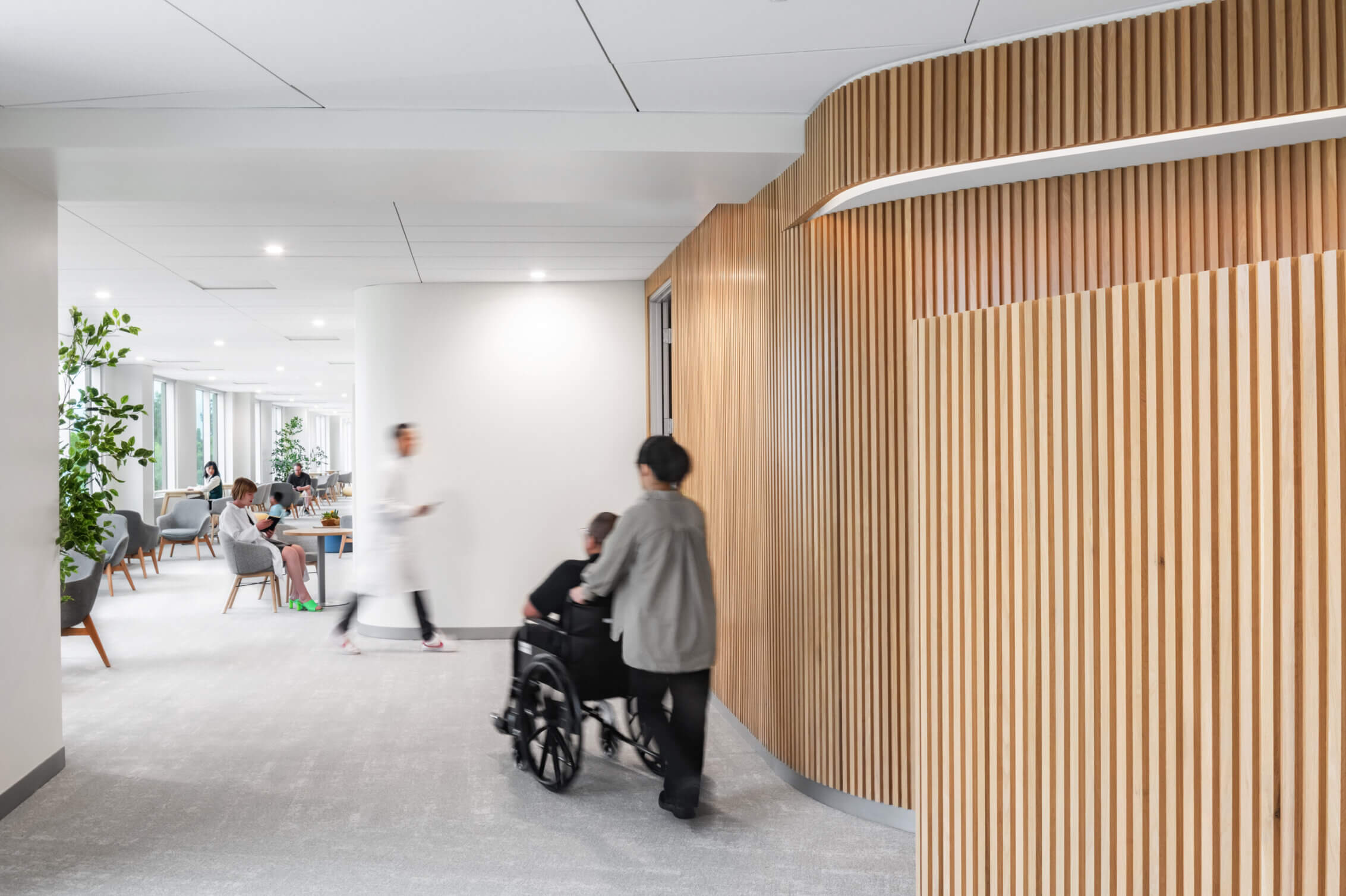 Modern hospital corridor with people, wheelchair, and wood panel design.