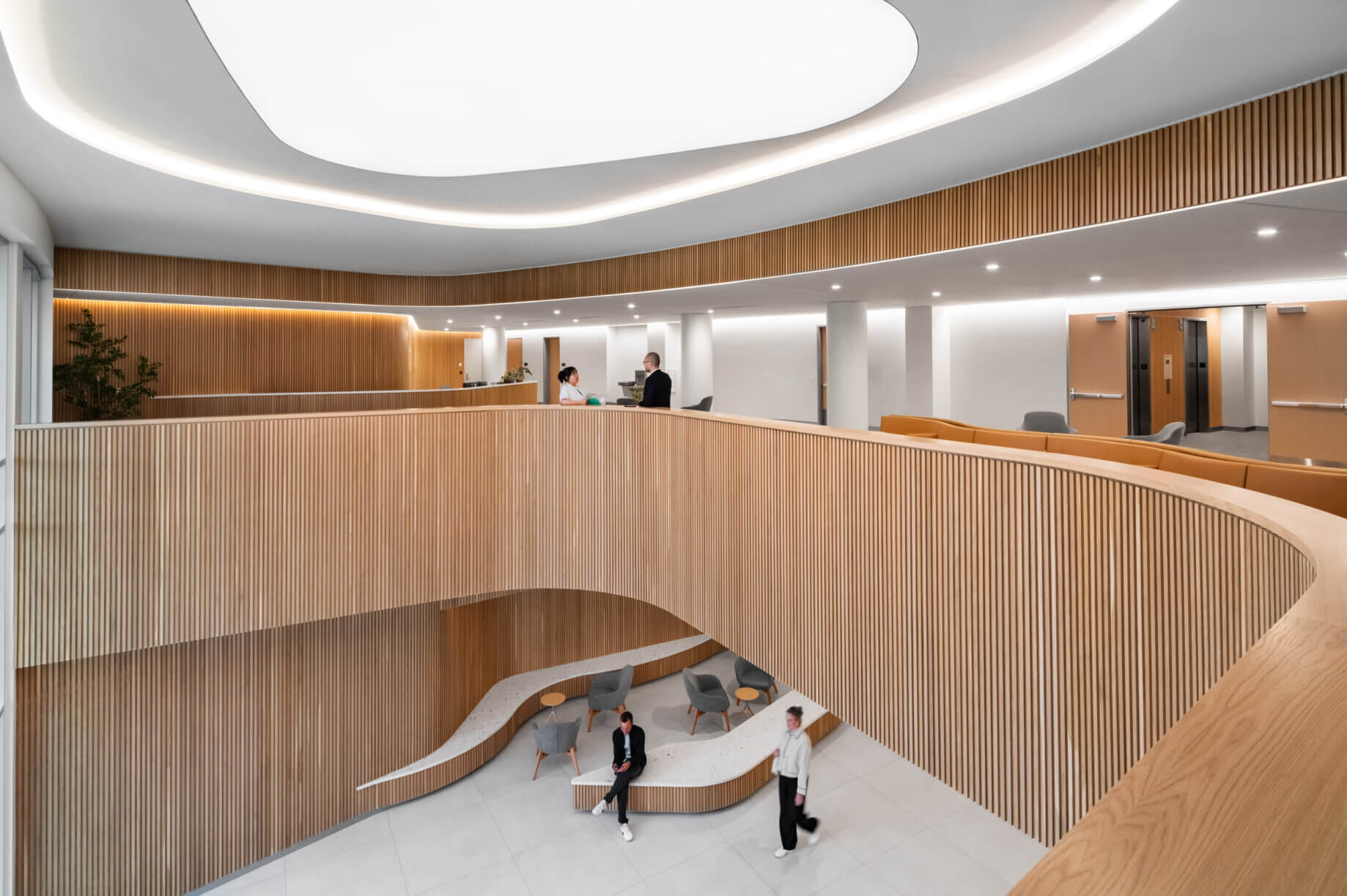 Modern office interior with wooden accents and curved design elements.