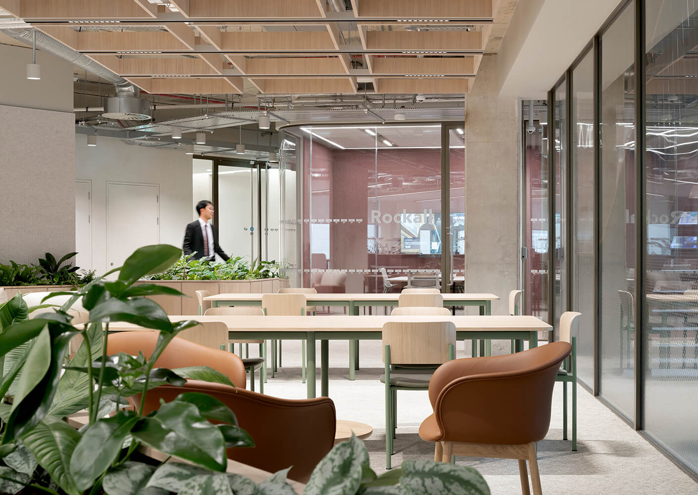 Modern office interior with plants and empty wooden tables.