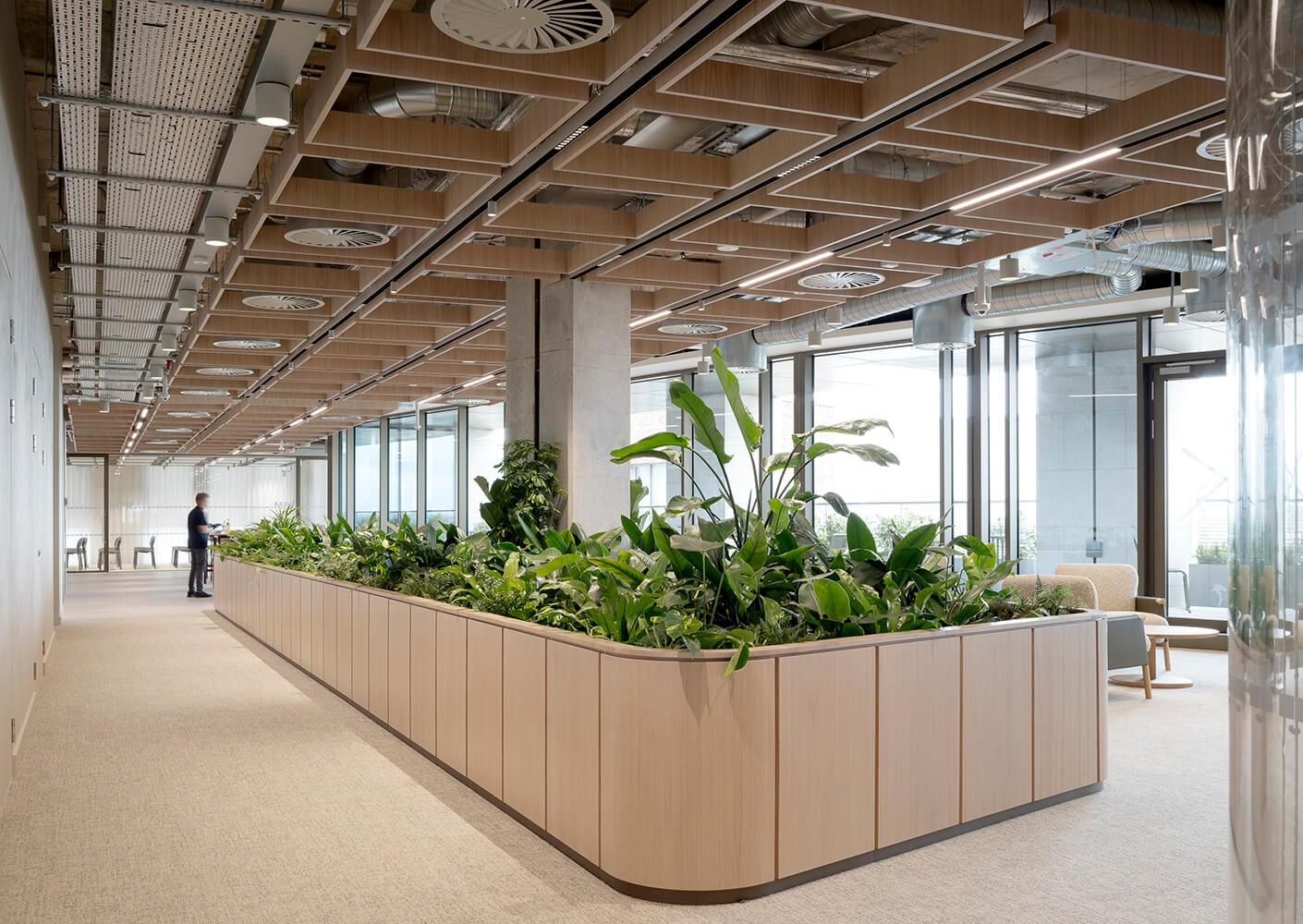 Modern office interior with green plants and natural light.