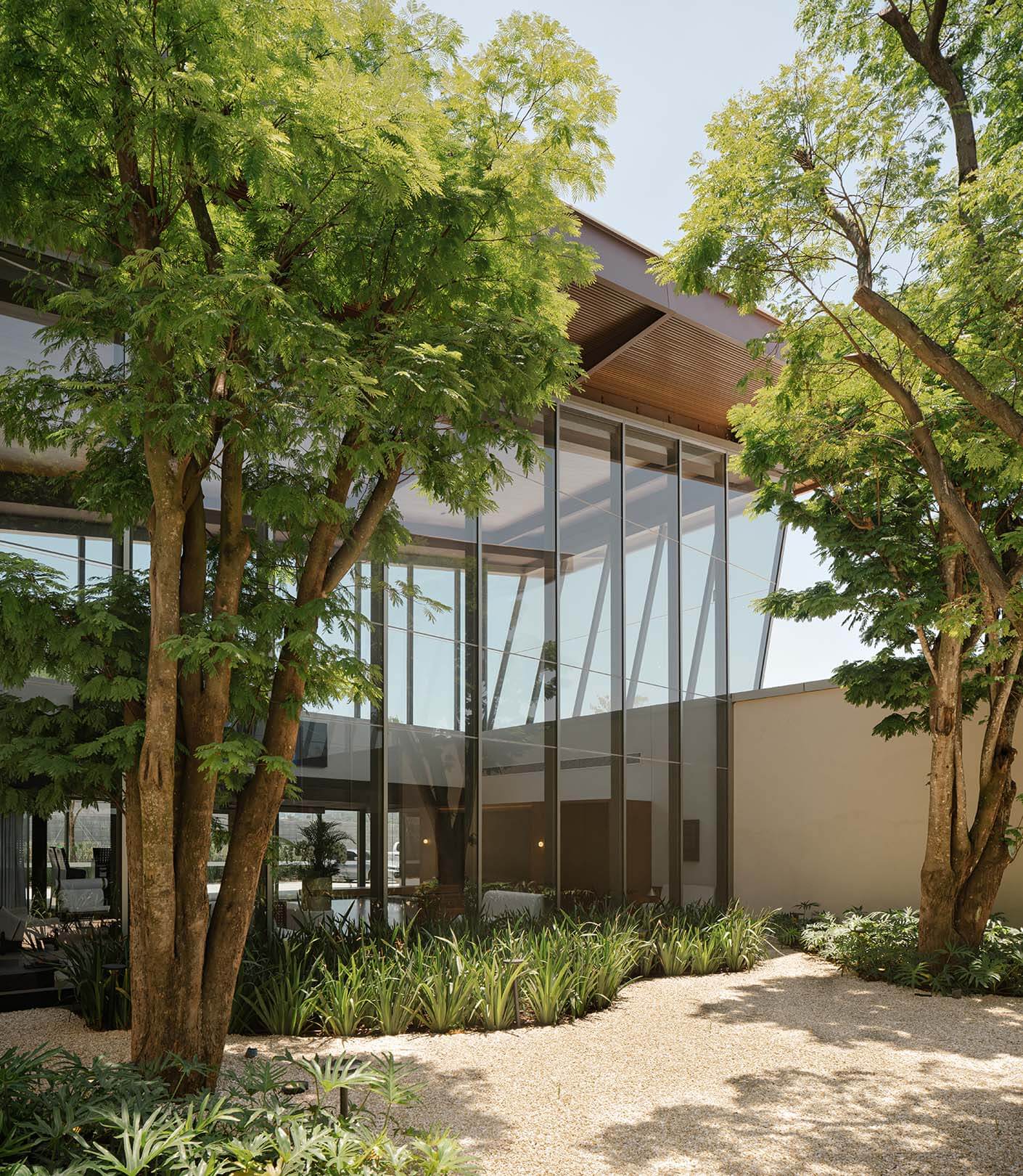 Modern glass building with lush greenery and trees in courtyard.