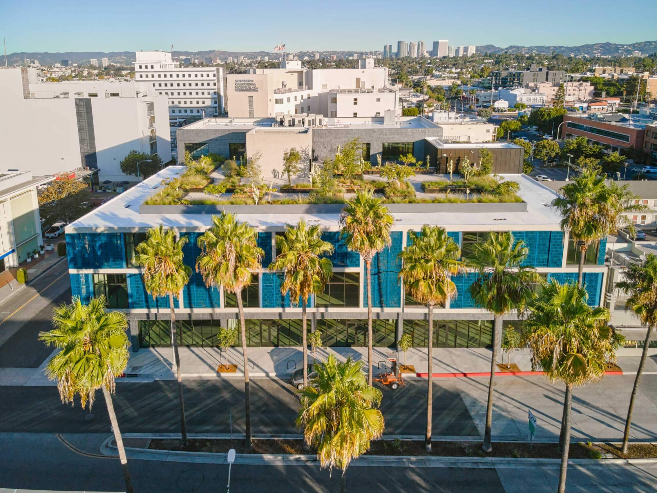 Modern rooftop garden on blue building with palm trees, city skyline in background.