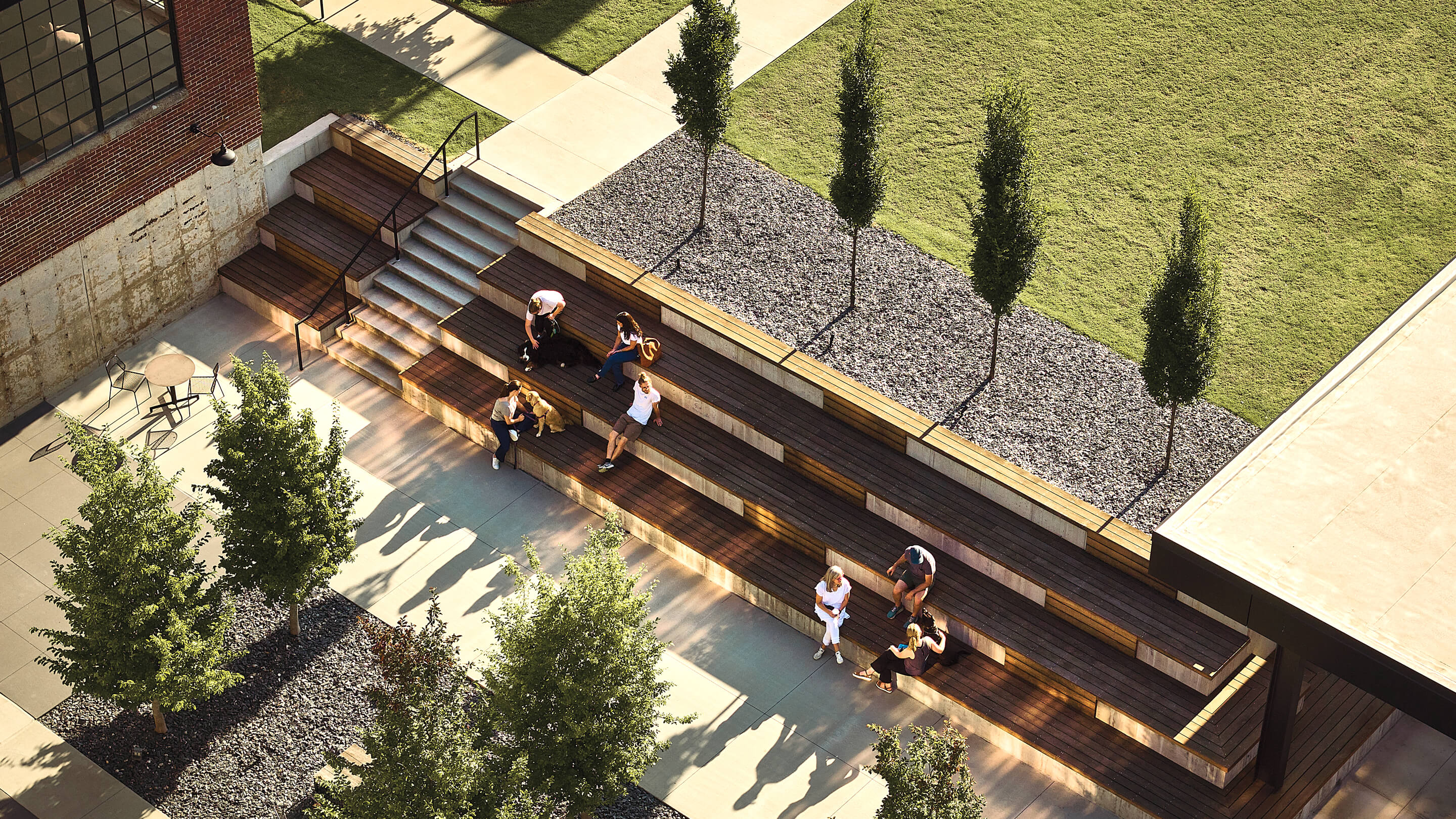 Aerial view of people relaxing on outdoor wooden steps with trees and grass nearby.