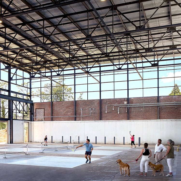 Indoor sports facility with people playing pickleball, dogs watching alongside.