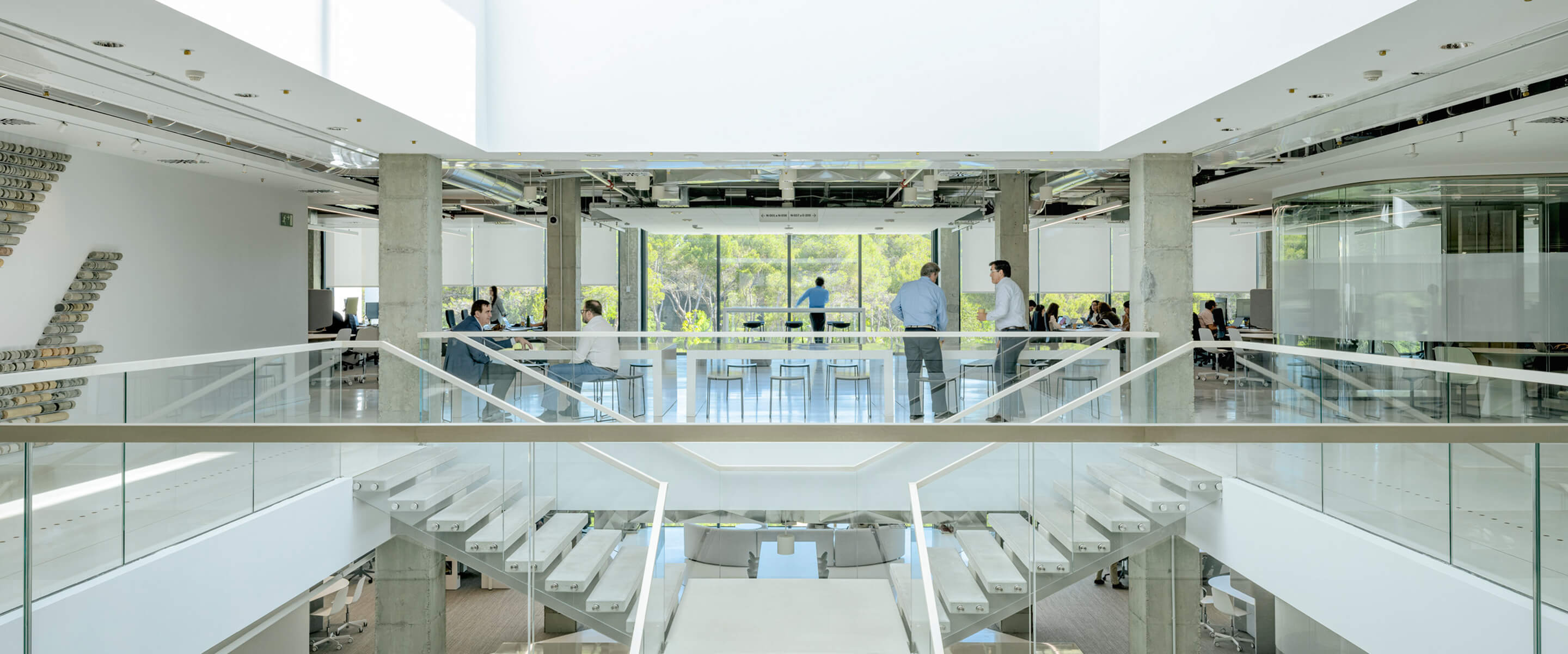 Modern open-plan office with glass walls and natural light.