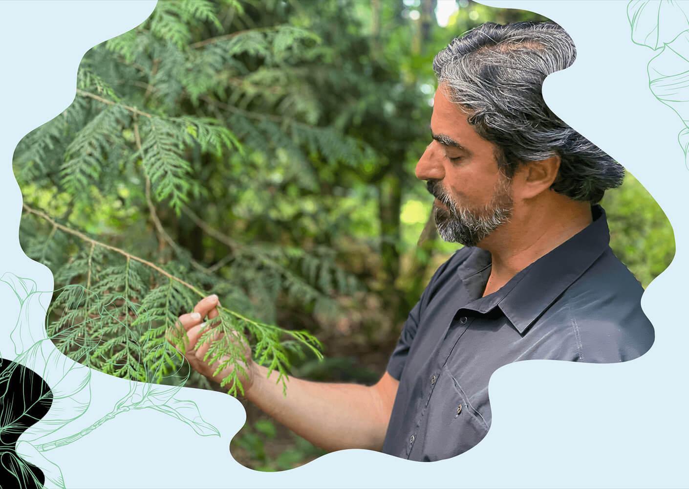 Man examining green foliage in a forest setting.