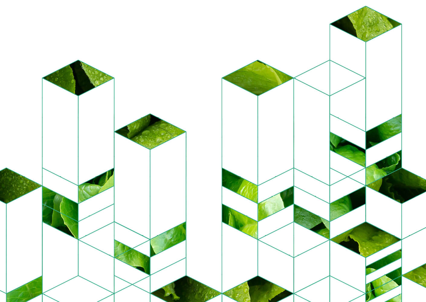 Geometric green leaf collage with 3D cube pattern.