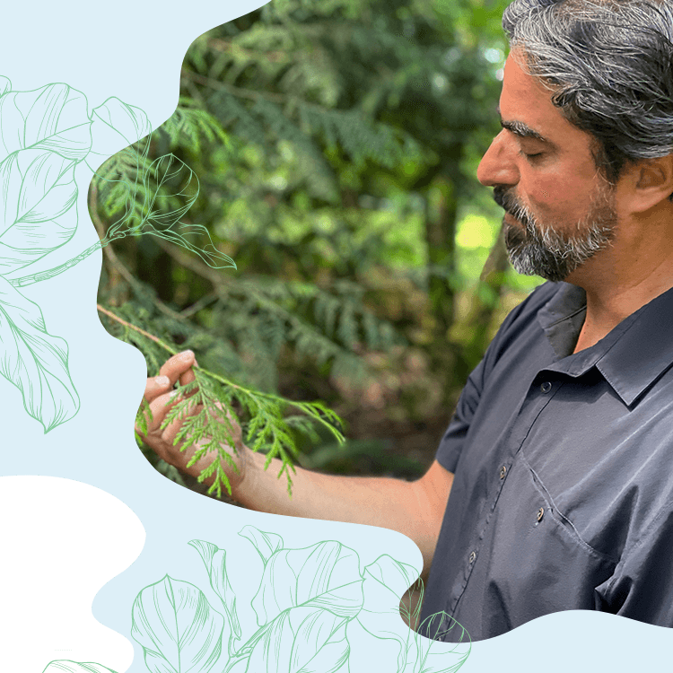 Man examining foliage in forest setting.