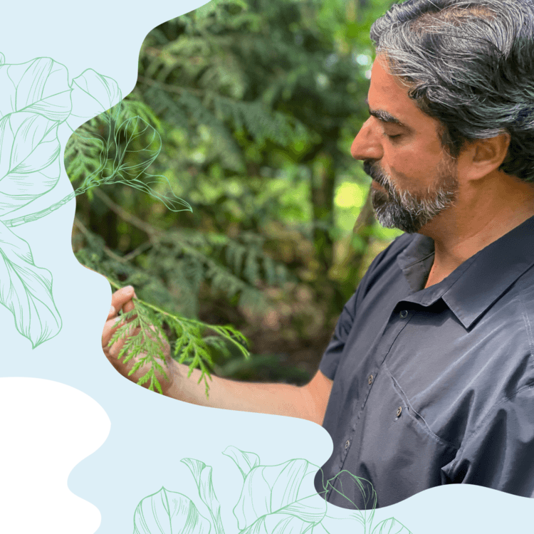 Man observing forest greenery in nature with floral illustrations.