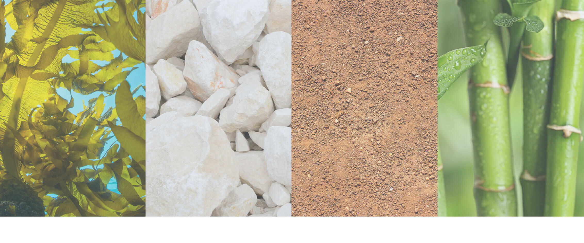 Seaweed, rocks, soil, and bamboo textures side by side.