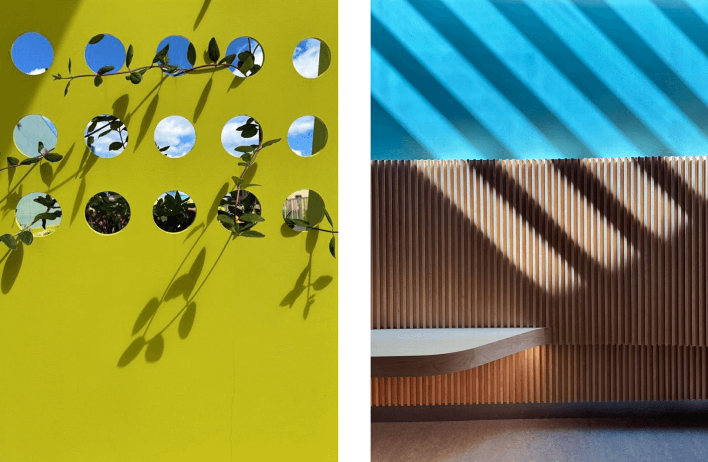 Colorful architectural details with leafy shadows against vibrant backgrounds.