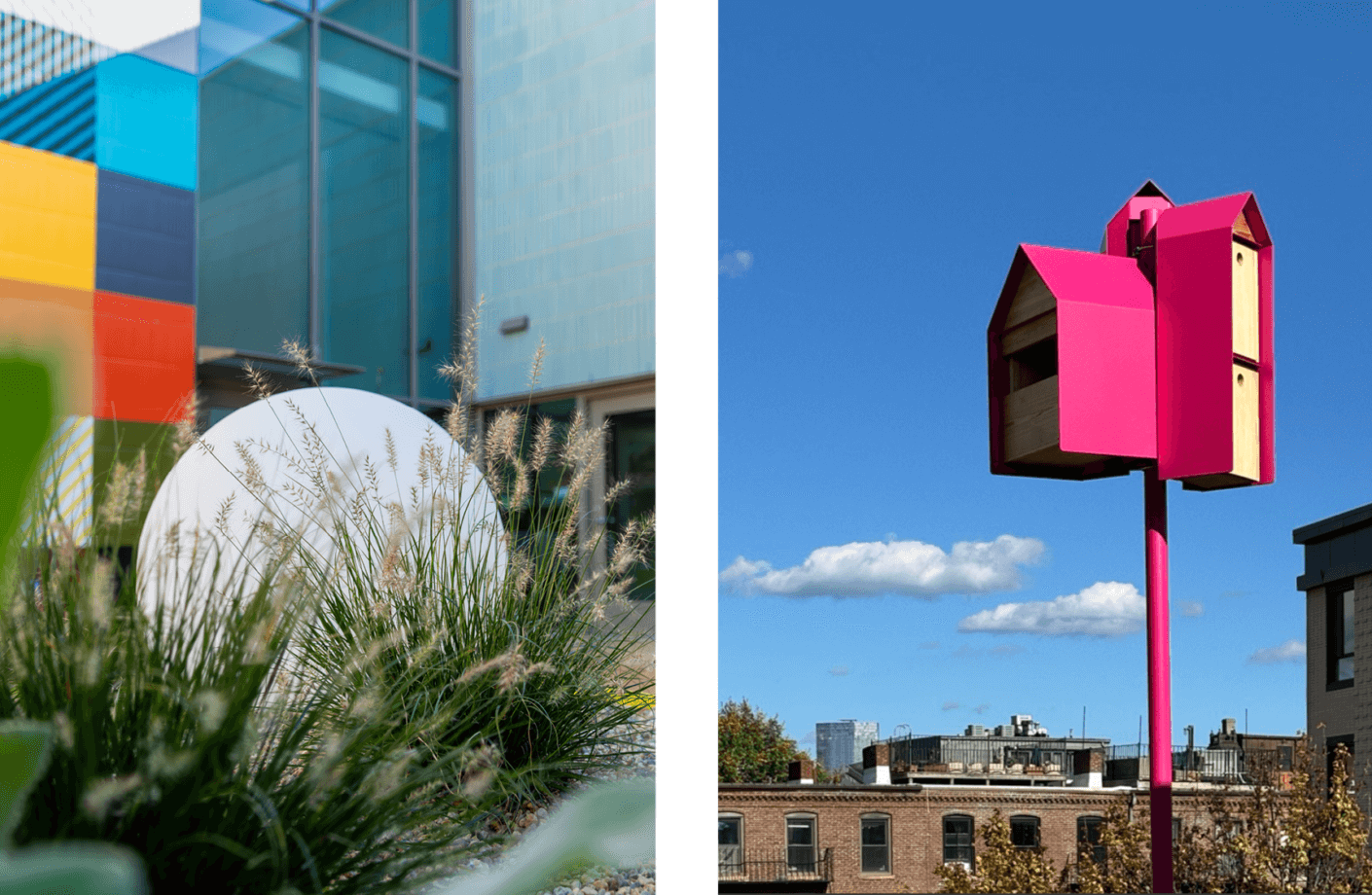 Colorful modern architecture and a vibrant pink birdhouse against a blue sky.
