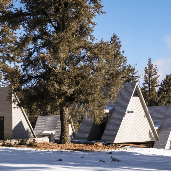 Modern A-frame cabins nestled in snow-covered forest under a blue sky.