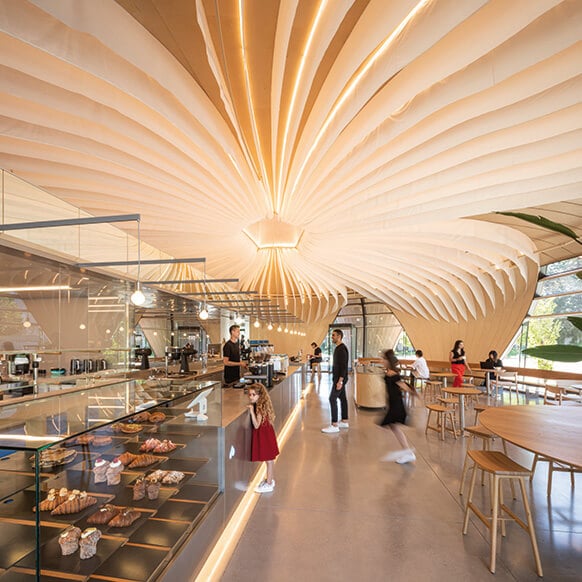 Interior of a café showcasing fluid ceiling design with layered fabric and integrated lighting, complemented by sleek glass and natural wood elements.