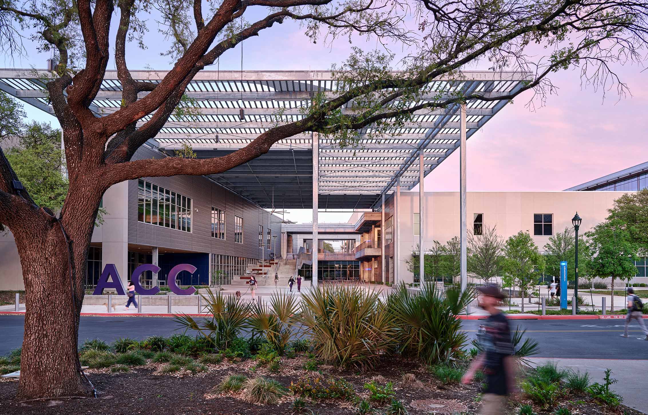 Entrance to ACC campus featuring landscaped areas, large tree, and open architecture. Pedestrians walk through the space during dusk.