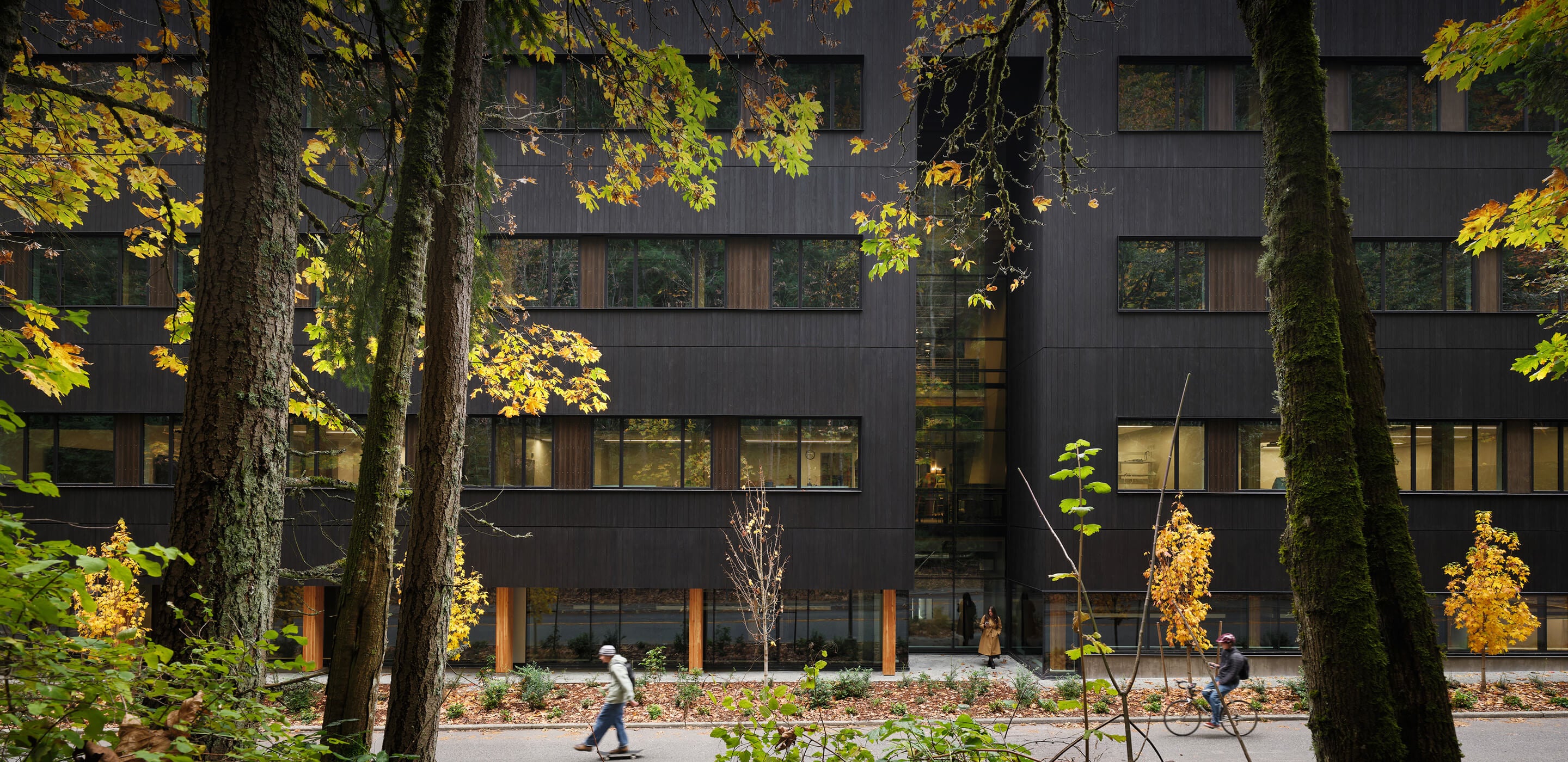 A walkable path lined with trees and foliage, showcasing a contemporary building with large windows and clean lines, framed by autumn leaves.