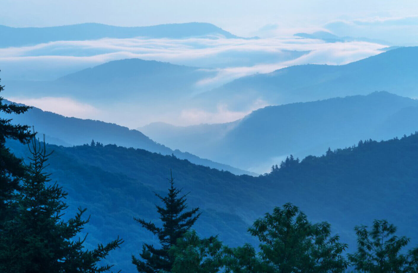 Layered blue mountain ranges with mist and clouds at dawn, featuring evergreen trees in the foreground. Serenity in nature's landscape.