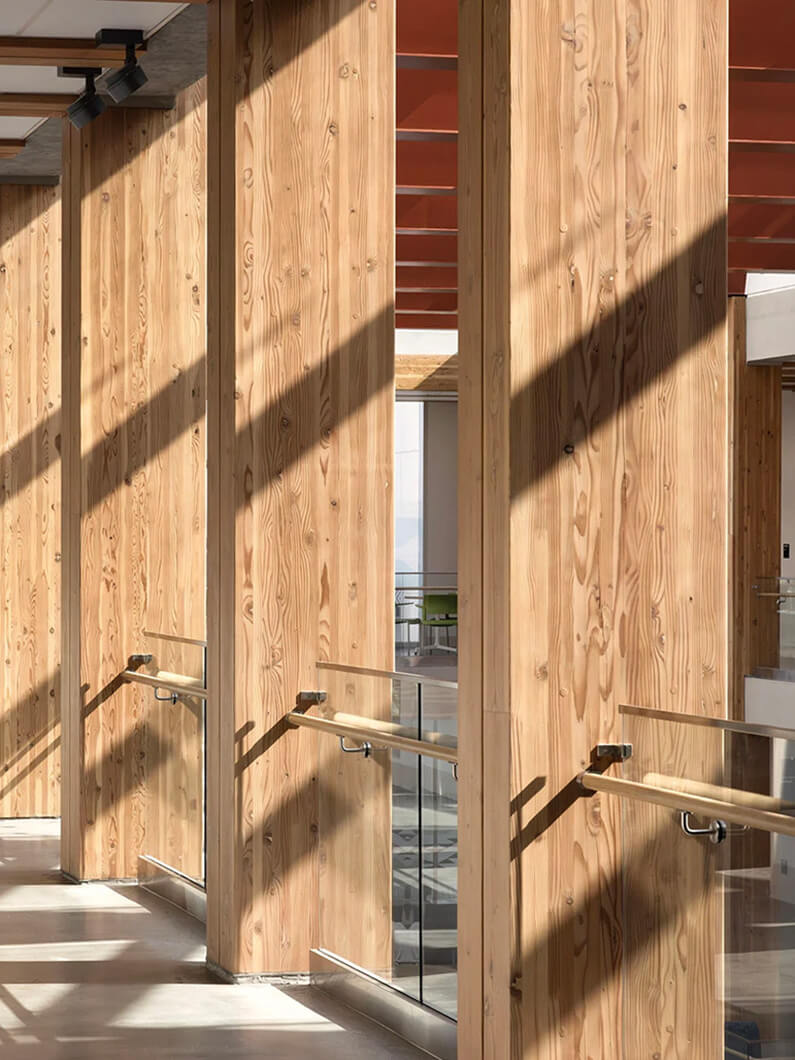 Interior view showcasing wood-paneled walls and glass railings, with natural light creating shadows and highlights across the space.