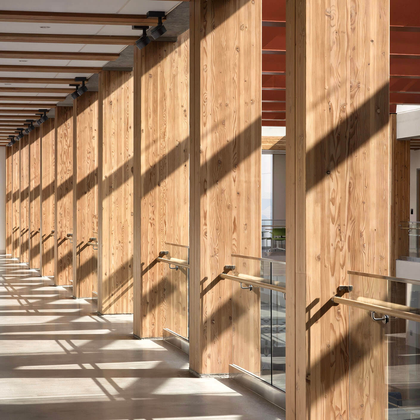 Interior mass timber structure of UBC MacIsaac Health Building