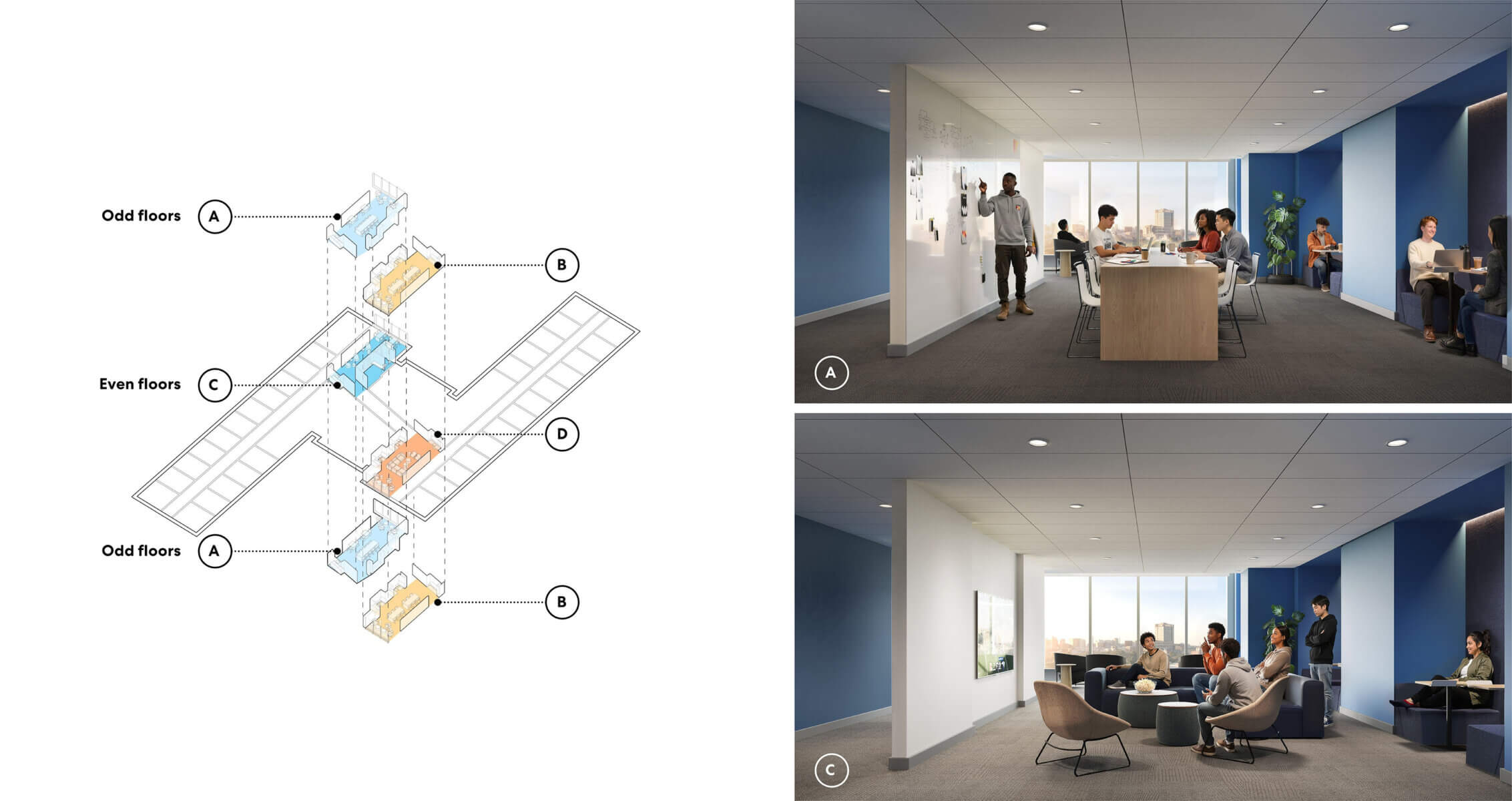 Diagram showing layout for odd and even floors, paired with two interior views of a workspace with people collaborating and engaging.