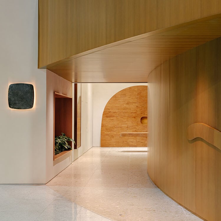 Interior hallway featuring curved wooden walls, warm lighting, a stone wall, and a plant nook. Designed for efficient space flow.